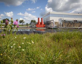 COGE_FIN DE SAISON COGENERATION 2024/2025