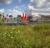 COGE_FIN DE SAISON COGENERATION 2024/2025